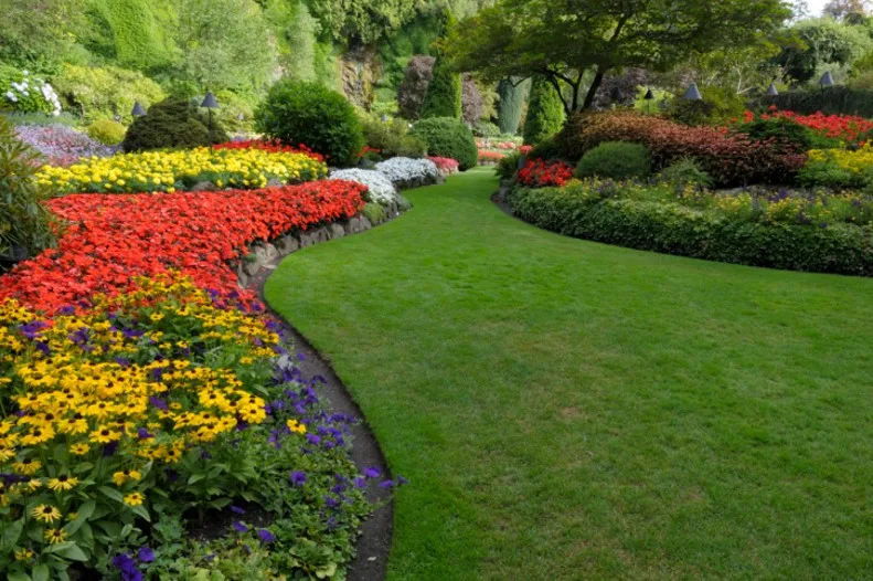 Beyond Beauty: Unveiling the Crucial Importance of Community Landscape Care