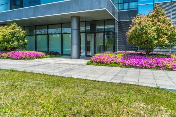 How to Improve Workplace Productivity with Professional Commercial Landscape Maintenance