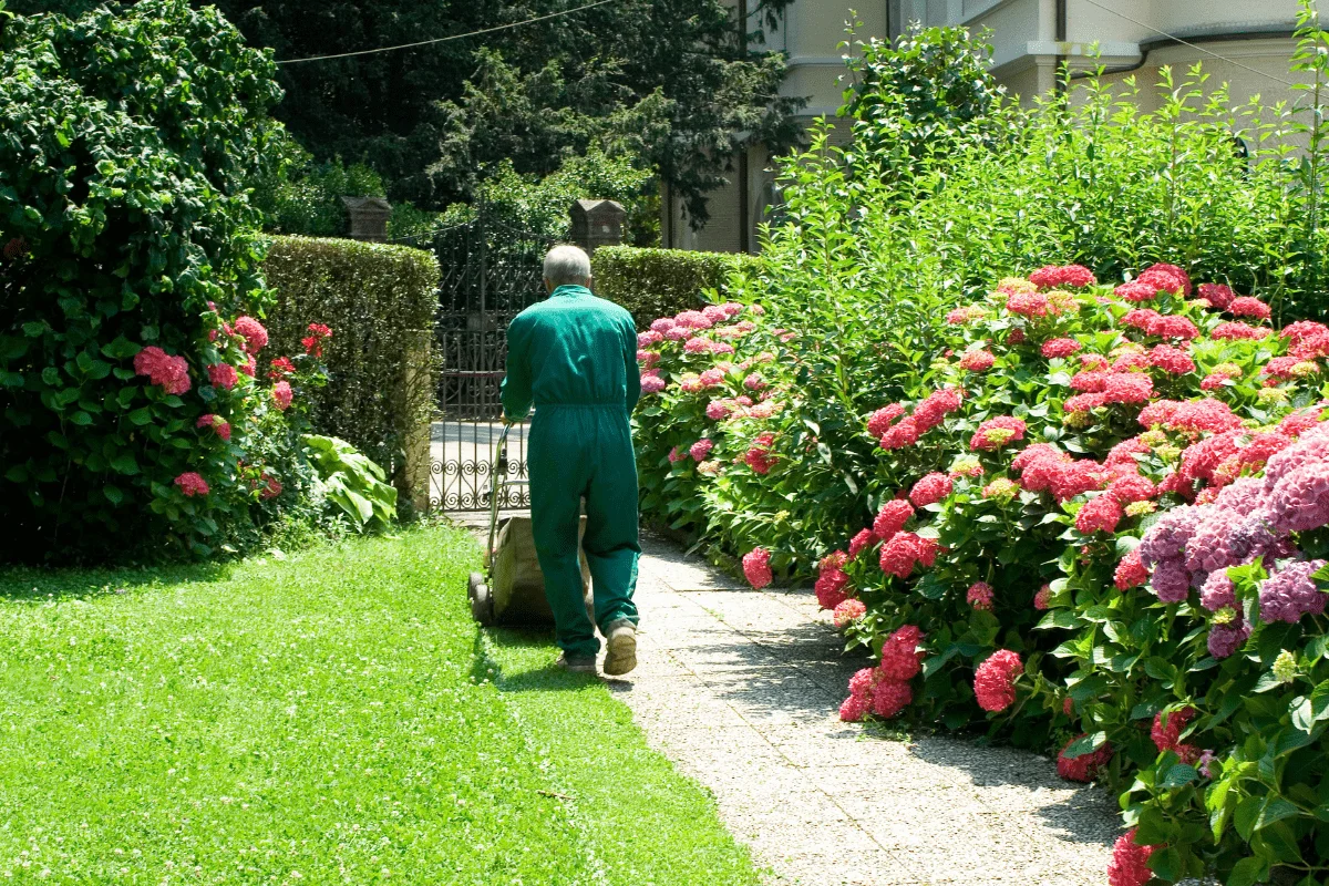 Top 5 Benefits of HOA Landscape Services for Residential Communities
