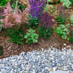 Rocks vs. Mulch: Which is Best for Your Garden’s Needs?