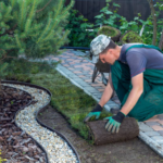 Community Landscaping Services: Enhancing Outdoor Spaces Together